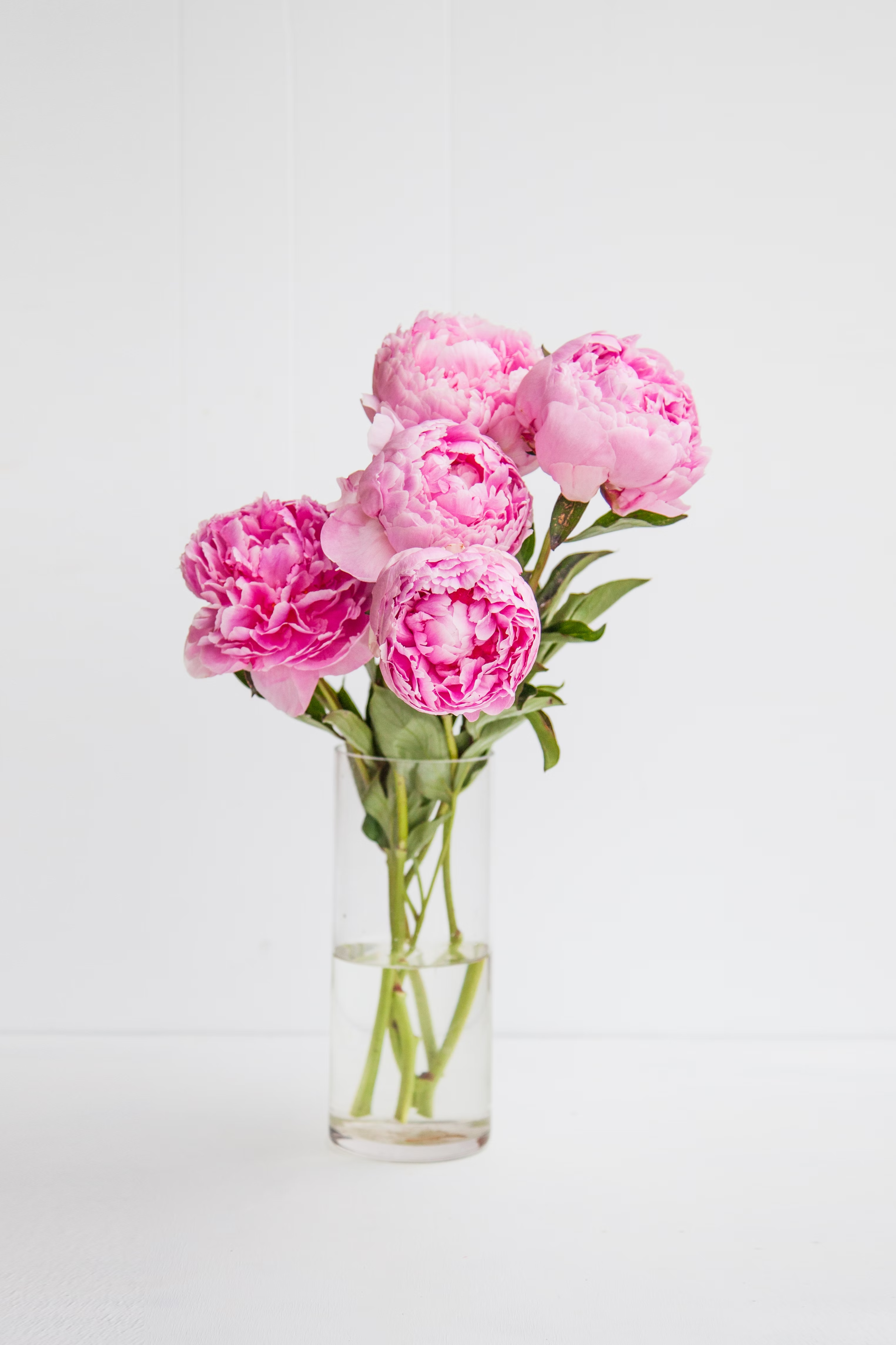 Bouquette of peonies